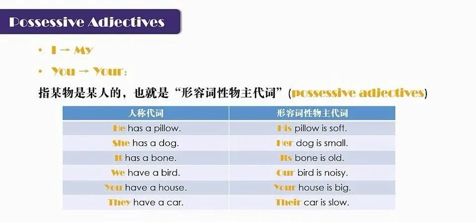 图片[24]-小学初中英语语法大全汇总 全套教学视频共35节语法课，-拓空间学习分享