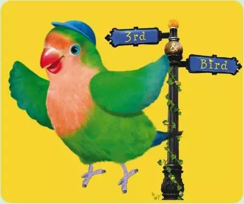 图片[5]-儿童性格培养动画片推荐：《小鸟3号 3rd and Bird 》，2季50集视频+音频资源-拓空间学习分享