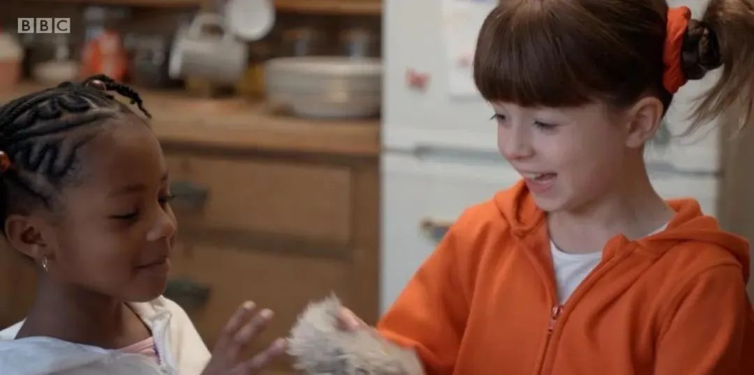 图片[14]-《Topsy and Tim》绘本18册+情景剧 百度网盘下载-拓空间学习分享