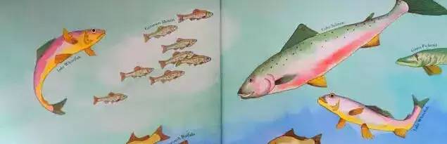 图片[8]-英语科普书籍推荐：Let’s Read And Find Out Science，含电子书和音频！-拓空间学习分享