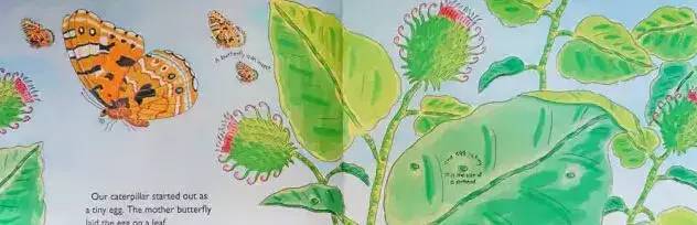 图片[9]-英语科普书籍推荐：Let’s Read And Find Out Science，含电子书和音频！-拓空间学习分享