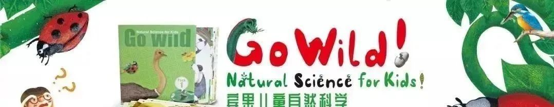 图片[2]-宾果儿童自然科学3辑pdf+音频下载 百度网盘-拓空间学习分享