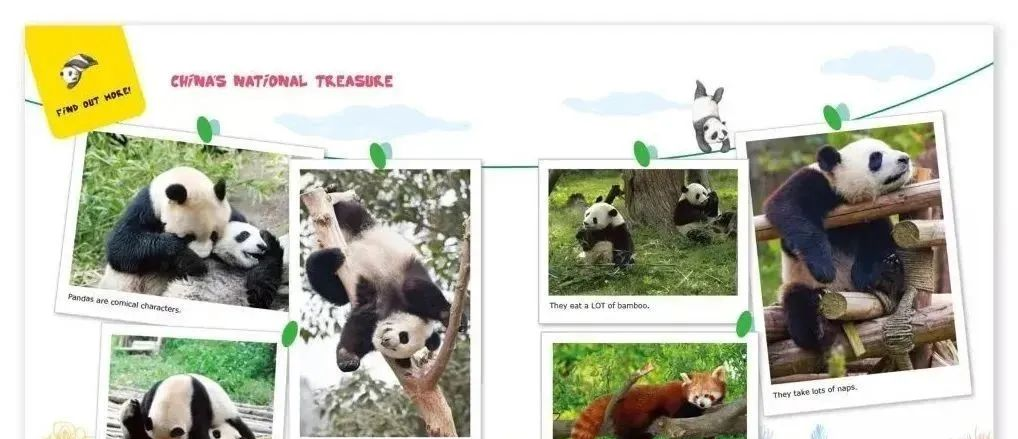图片[8]-宾果儿童自然科学3辑pdf+音频下载 百度网盘-拓空间学习分享