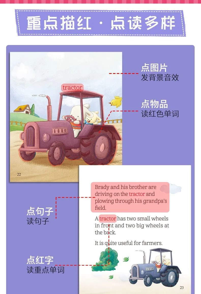 Brady’s world布莱迪的世界全套30集动画课程和音频，网盘云资源-拓空间学习分享