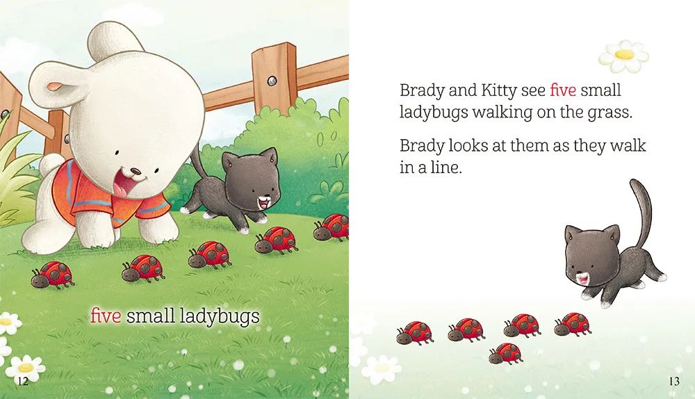 图片[6]-Brady’s world布莱迪的世界全套30集动画课程和音频，网盘云资源-拓空间学习分享