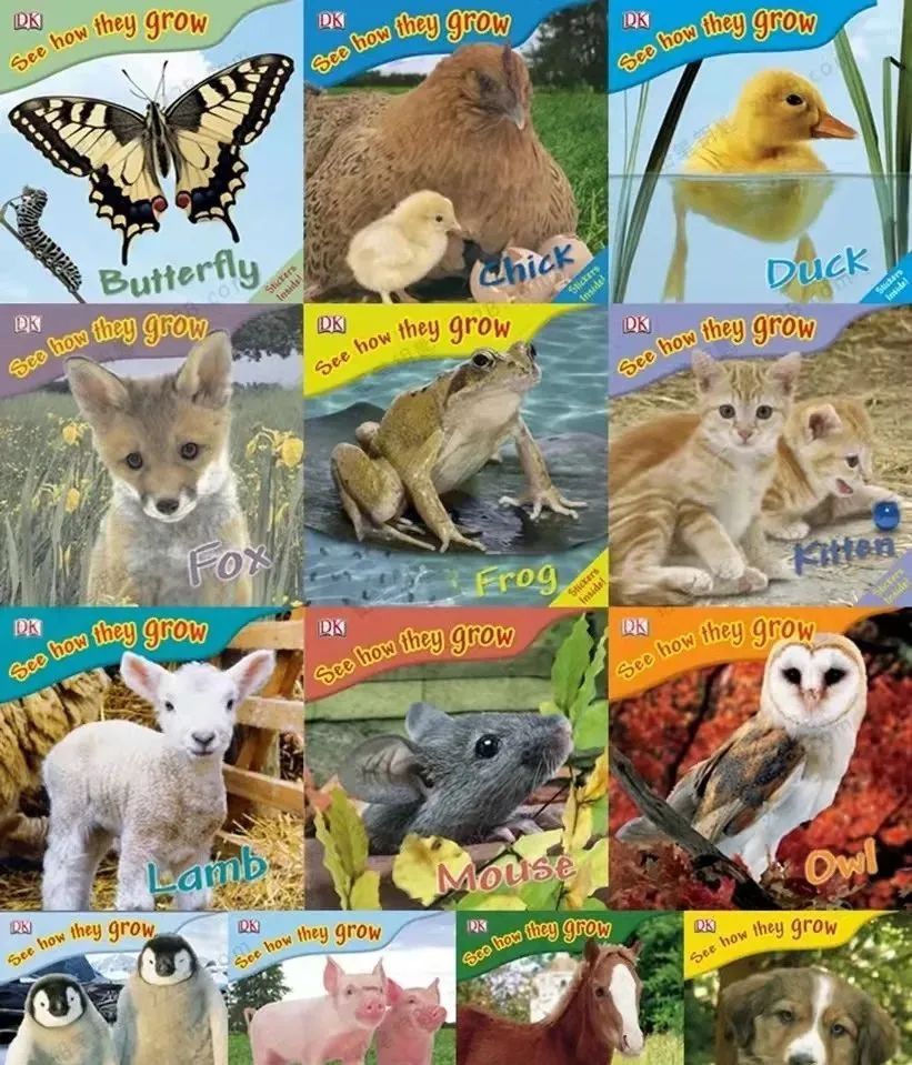 儿童的科普绘本推荐:See How They Grow动物成长绘本系列13册 DK-拓空间学习分享