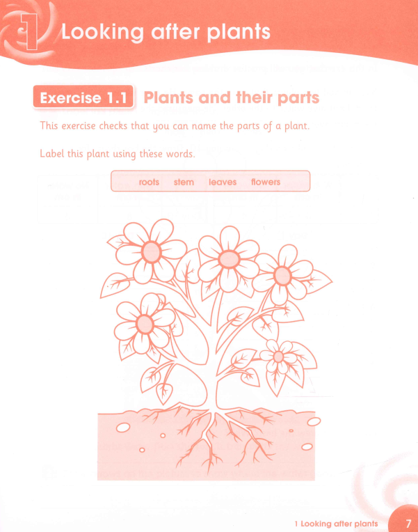 图片[14]-剑桥科学教材电子版PDF 百度网盘（学生用书+活动书）-拓空间学习分享