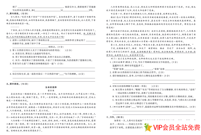 图片[2]-王朝霞试卷六年级上册语文单元综合测试卷下载-拓空间学习分享