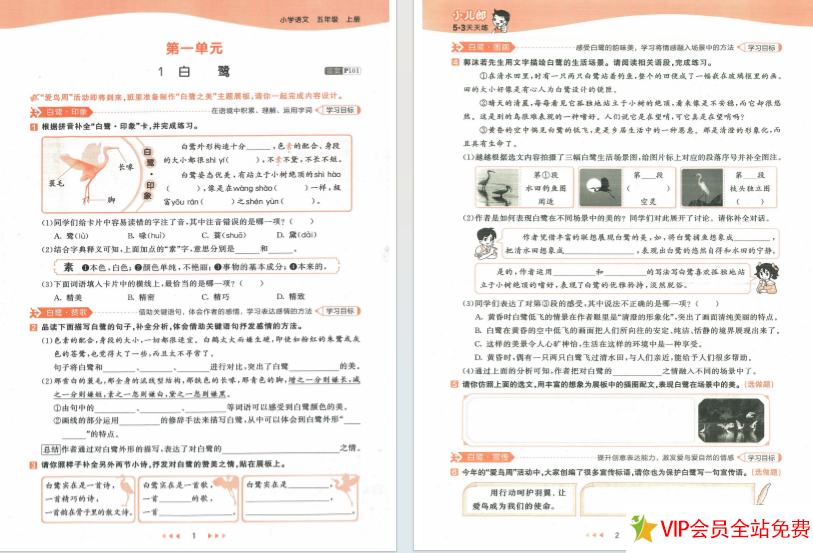 图片[3]-2024年五年级上册语文53天天练人教版电子版下载，带答案-拓空间学习分享